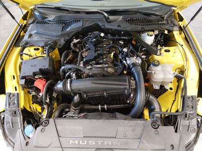 2024 Ford Mustang - Photo 9