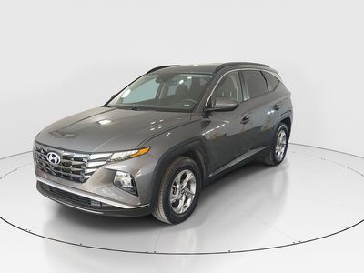 2024 Hyundai Tucson - Photo 3