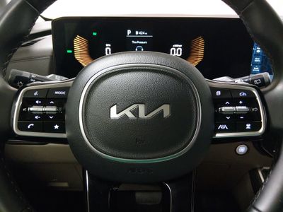 2025 Kia Carnival Hybrid - Photo 12