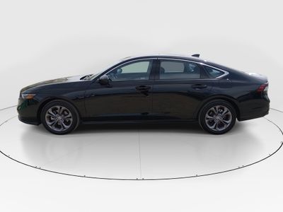 2024 Honda Accord Sedan - Photo 4