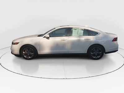 2024 Honda Accord Sedan - Photo 8