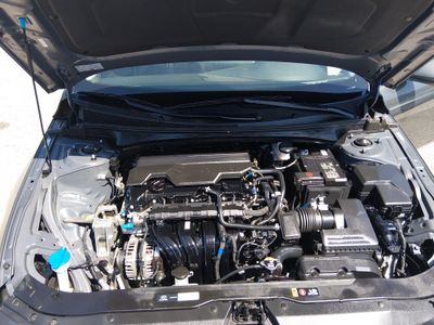 2025 Hyundai Elantra — photo 9 view