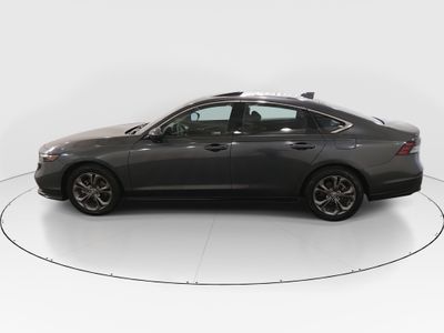 2024 Honda Accord Sedan - Photo 4
