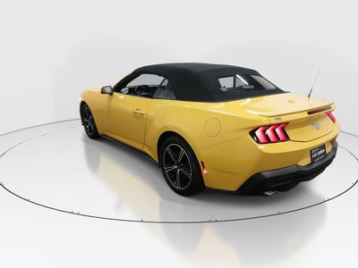 2024 Ford Mustang - Photo 5
