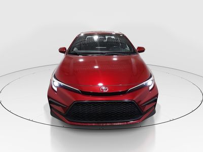 2024 Toyota Corolla - Photo 2