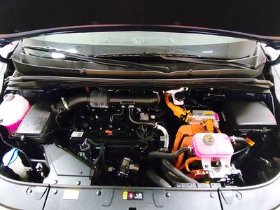 2025 Kia Carnival Hybrid - Photo 9