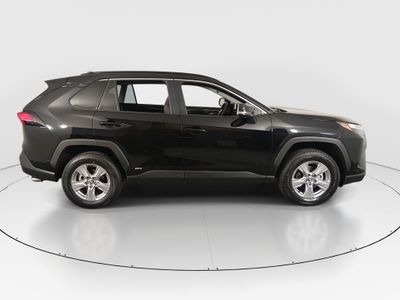 2025 Toyota RAV4 - Photo 8