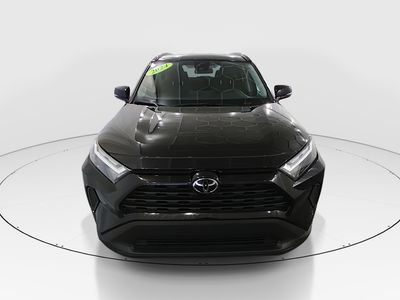2024 Toyota RAV4 - Photo 2