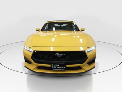 2024 Ford Mustang - Photo 2