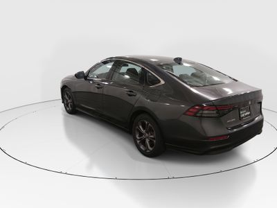 2024 Honda Accord Sedan - Photo 5