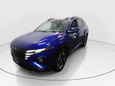2024 Hyundai Tucson - Photo 3