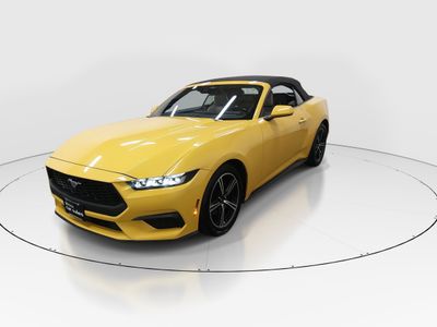 2024 Ford Mustang - Photo 3