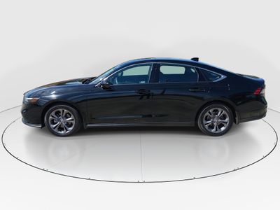 2023 Honda Accord Sedan - Photo 4