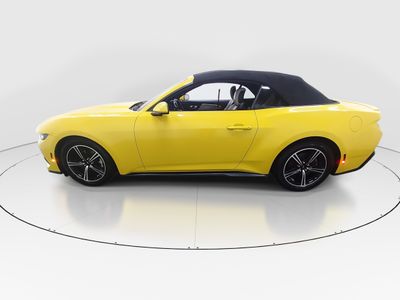 2024 Ford Mustang - Photo 4