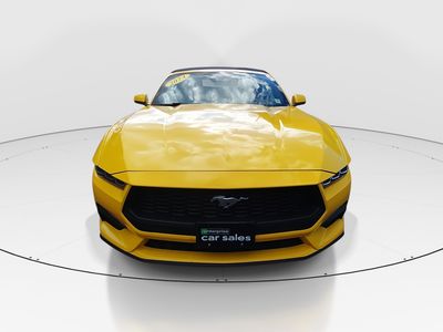 2024 Ford Mustang - Photo 2