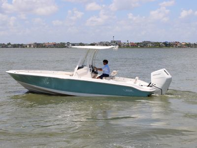 2026 Boston Whaler 250 Dauntless — front three-quarter view