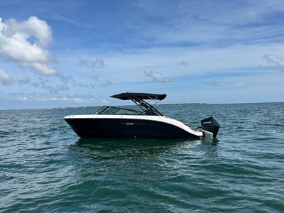 2026 Sea Ray SDX 250 Outboard — front three-quarter view