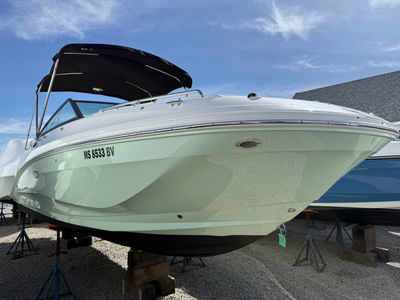 2024 Sea Ray 250 SDX OB — front three-quarter view
