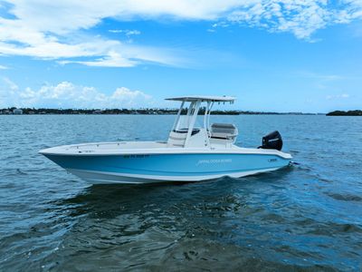 2024 Boston Whaler 250 DAUNTLESS — front three-quarter view