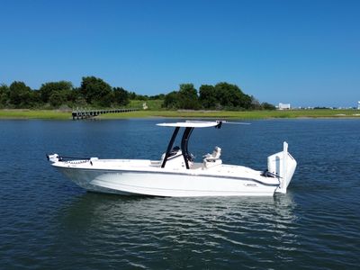 2025 Boston Whaler 250 DAUNTLESS — front three-quarter view