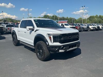 2025 Ford F-150 — rear three-quarter view