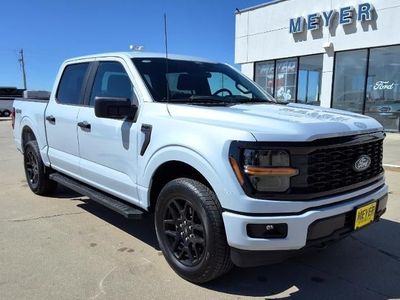 2025 Ford F-150 — side profile view