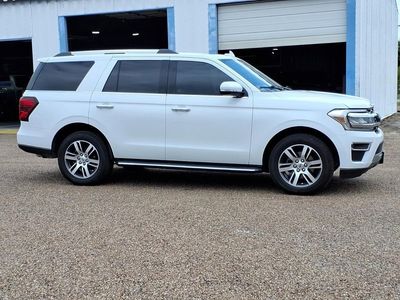 2022 Ford Expedition — detail view