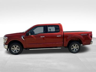 2023 Ford F-150 — rear three-quarter view