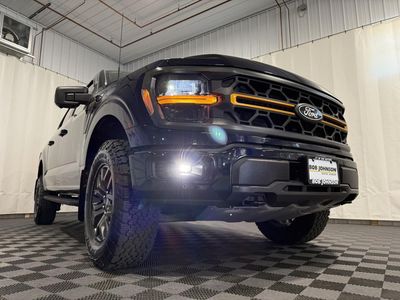 2025 Ford F-150 — detail view