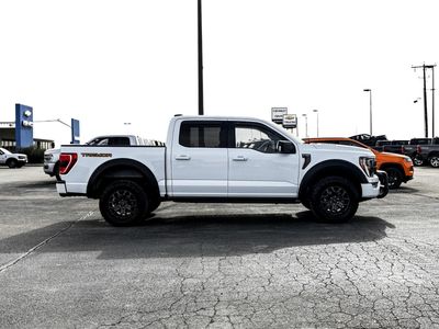 2023 Ford F-150 — detail view
