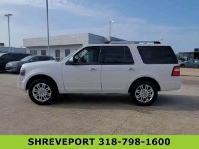 2013 Ford Expedition — detail view