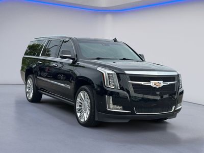 2019 Cadillac Escalade ESV — detail view