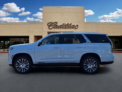 2026 Cadillac Escalade — detail view