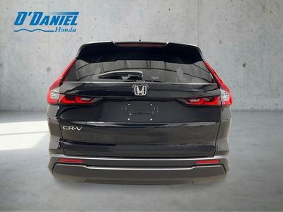2026 Honda CR-V — interior view