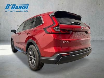 2026 Honda CR-V — rear three-quarter view