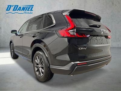2026 Honda CR-V — rear three-quarter view