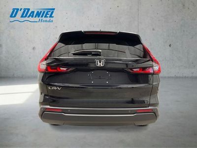 2026 Honda CR-V — interior view