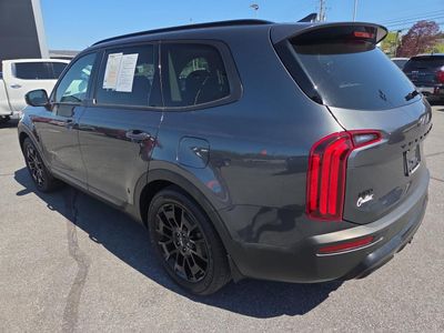 2022 Kia Telluride — detail view