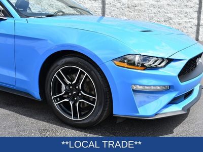 2023 Ford Mustang — rear three-quarter view