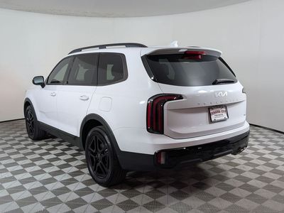 2024 Kia Telluride — detail view