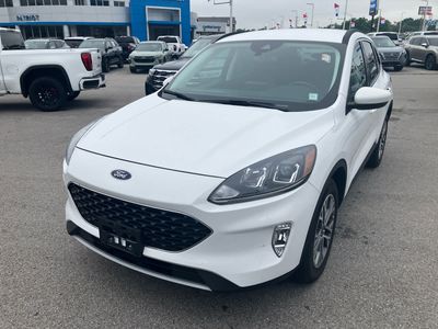 2022 Ford Escape — rear three-quarter view
