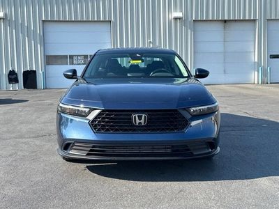 2024 Honda Accord — side profile view