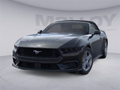2026 Ford Mustang - Photo 3