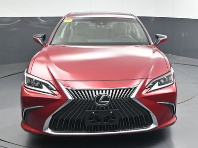 2019 Lexus ES 350 Sedan - Photo 3