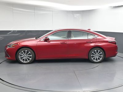 2019 Lexus ES 350 Sedan - Photo 7