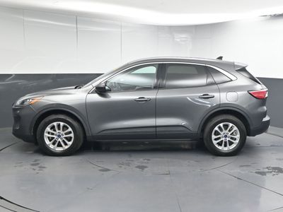 2022 Ford Escape SE SUV - Photo 7