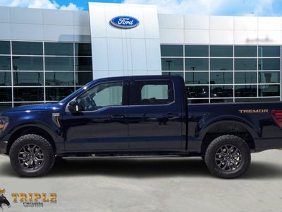 2025 Ford F-150 — rear three-quarter view
