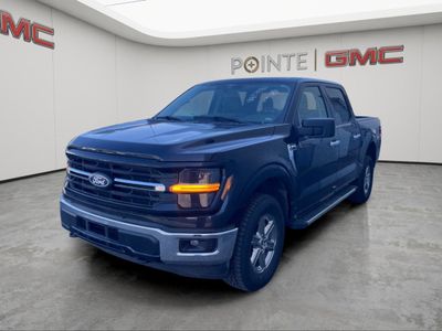 2025 Ford F-150 — interior view
