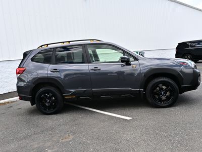 2024 Subaru Forester — detail view
