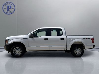 2020 Ford F-150 — interior view